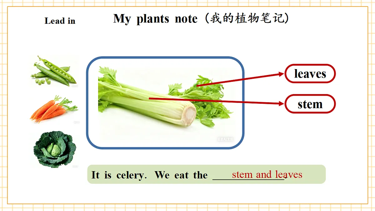 Unit 5 第6课时 Part B Read and write&Part C(教学课件)英语人教PEP版五年级上册(新教材)第7页