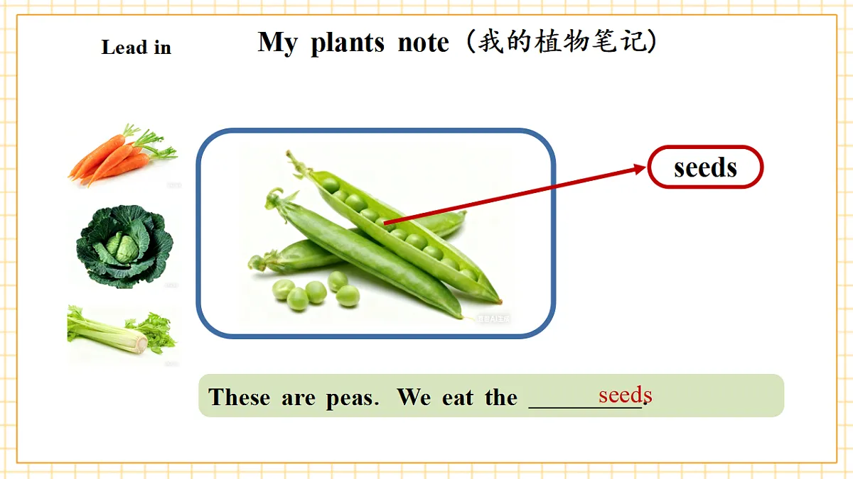 Unit 5 第6课时 Part B Read and write&Part C(教学课件)英语人教PEP版五年级上册(新教材)第8页