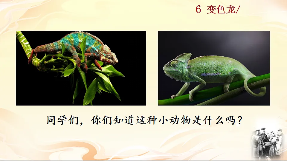 6 变色龙第1页