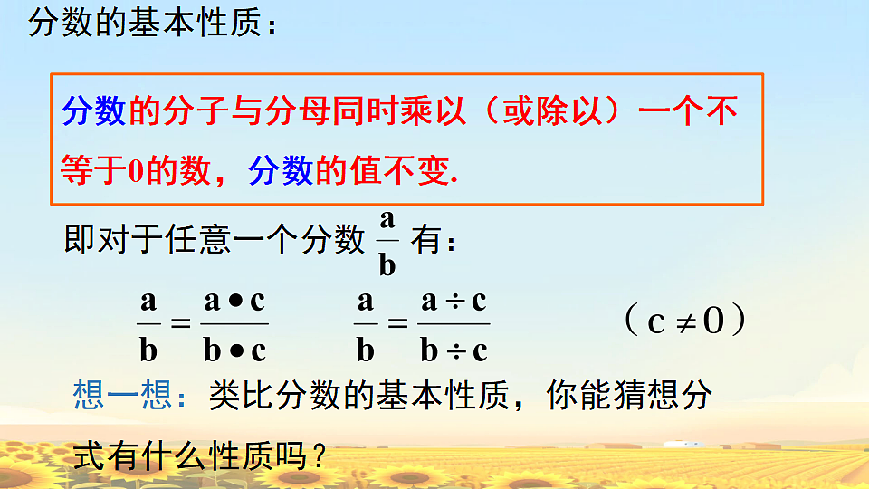 17638128第4页