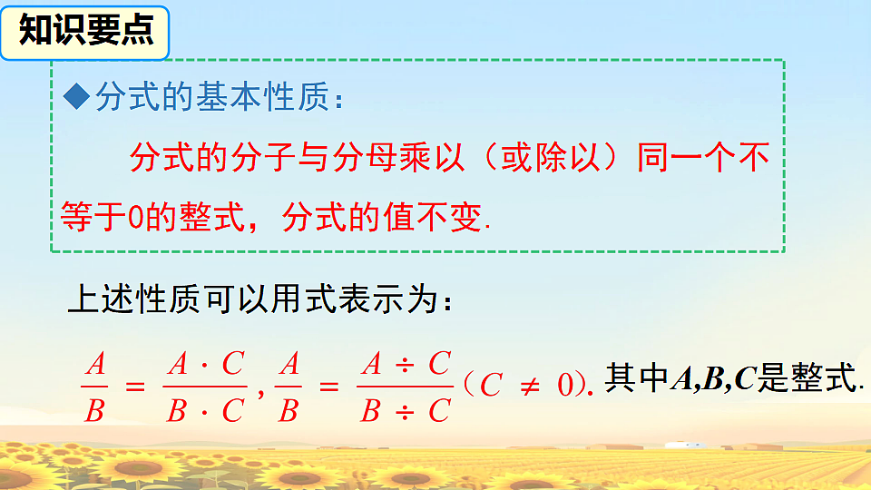 17638128第5页