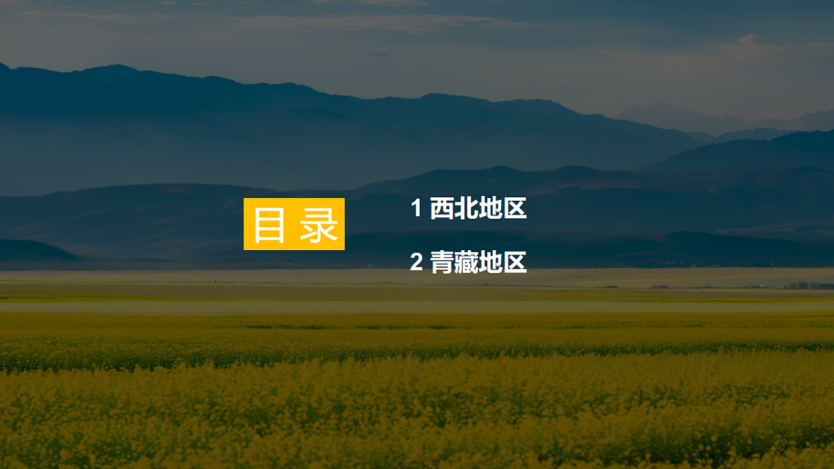 17643933第3页