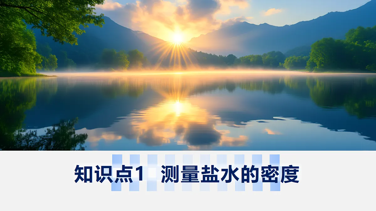 17644392第5页