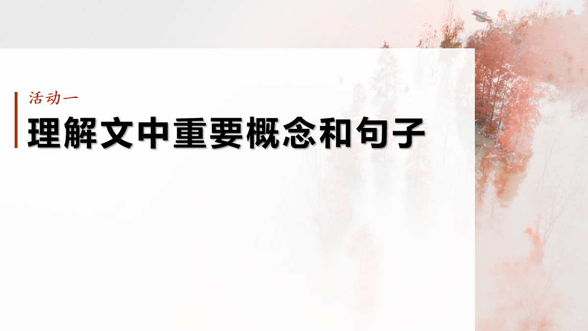 17645014第5页
