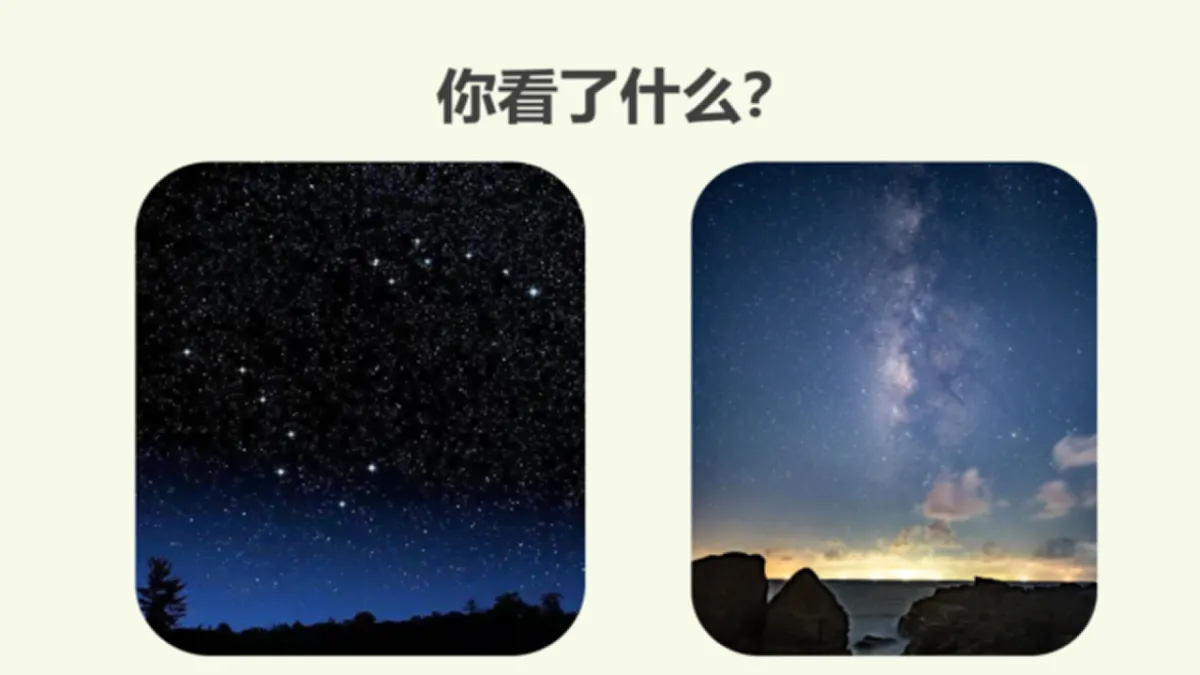 17645084第3页