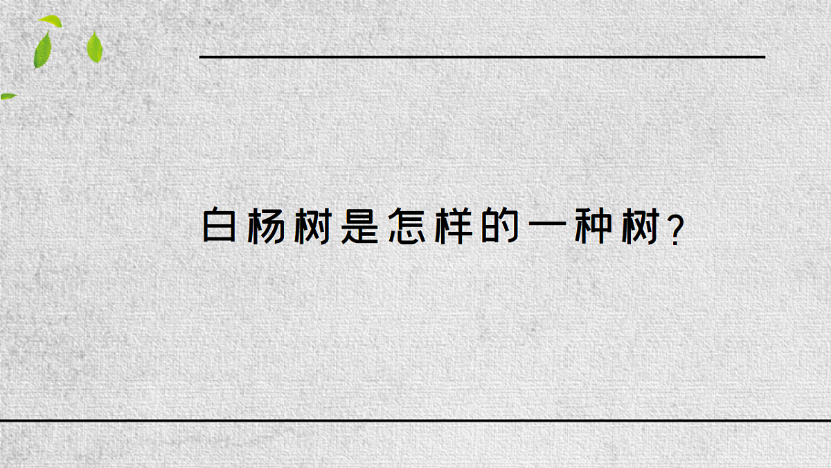 17645943第3页