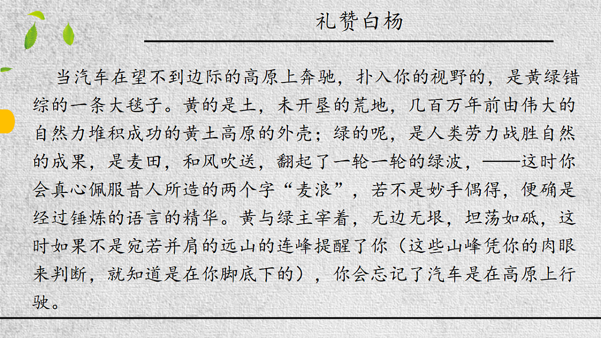 17645943第8页