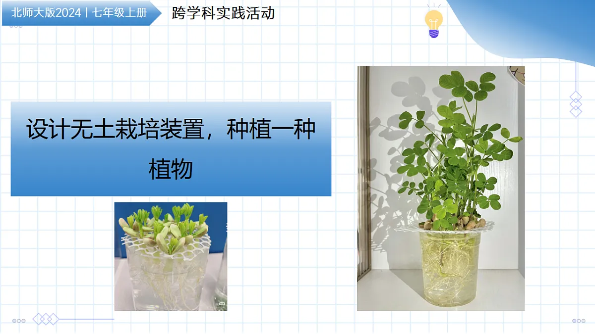 17645955第1页