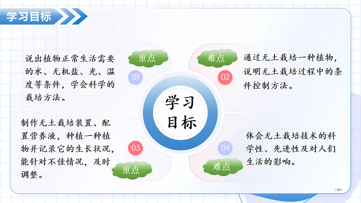 17645955第3页