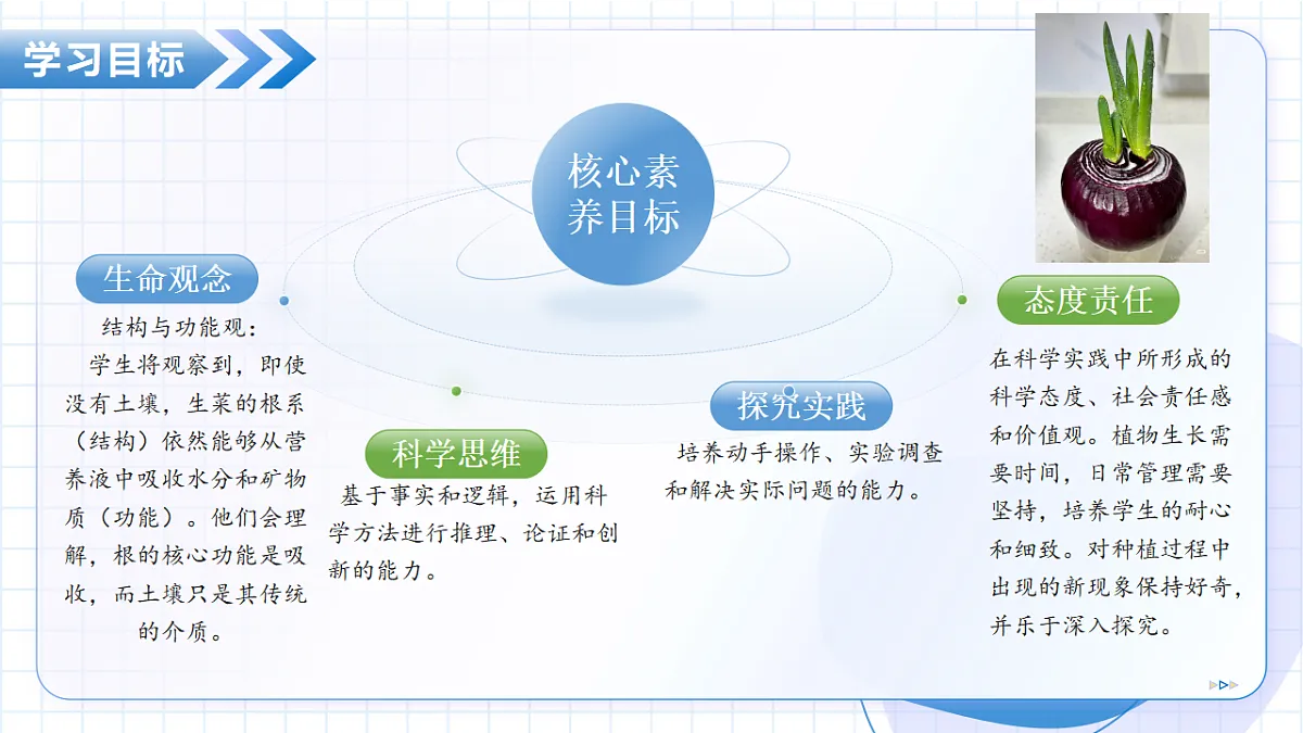 17645955第4页
