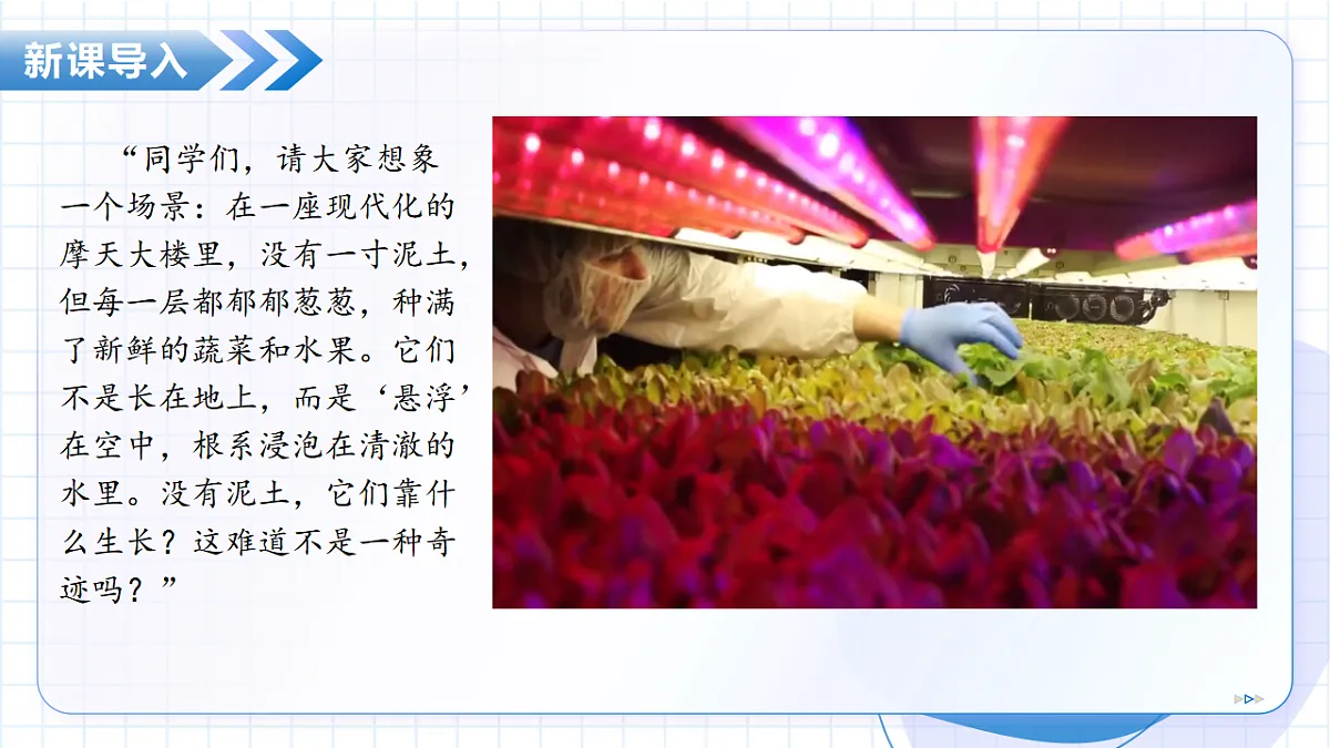 17645955第5页