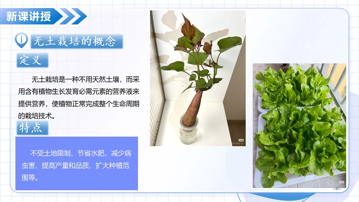17645955第6页