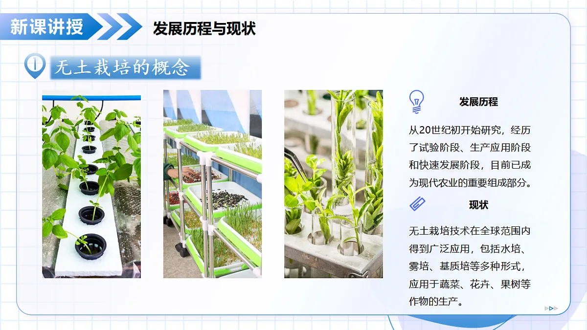 17645955第7页