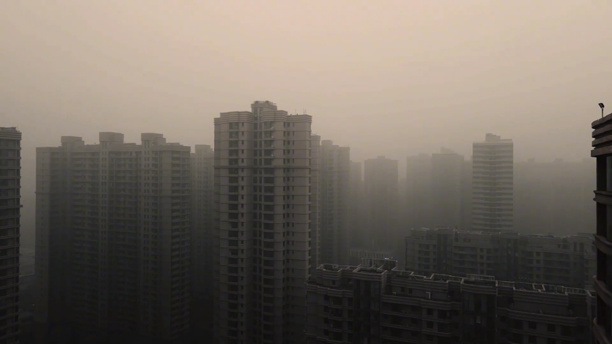 17645986第3页