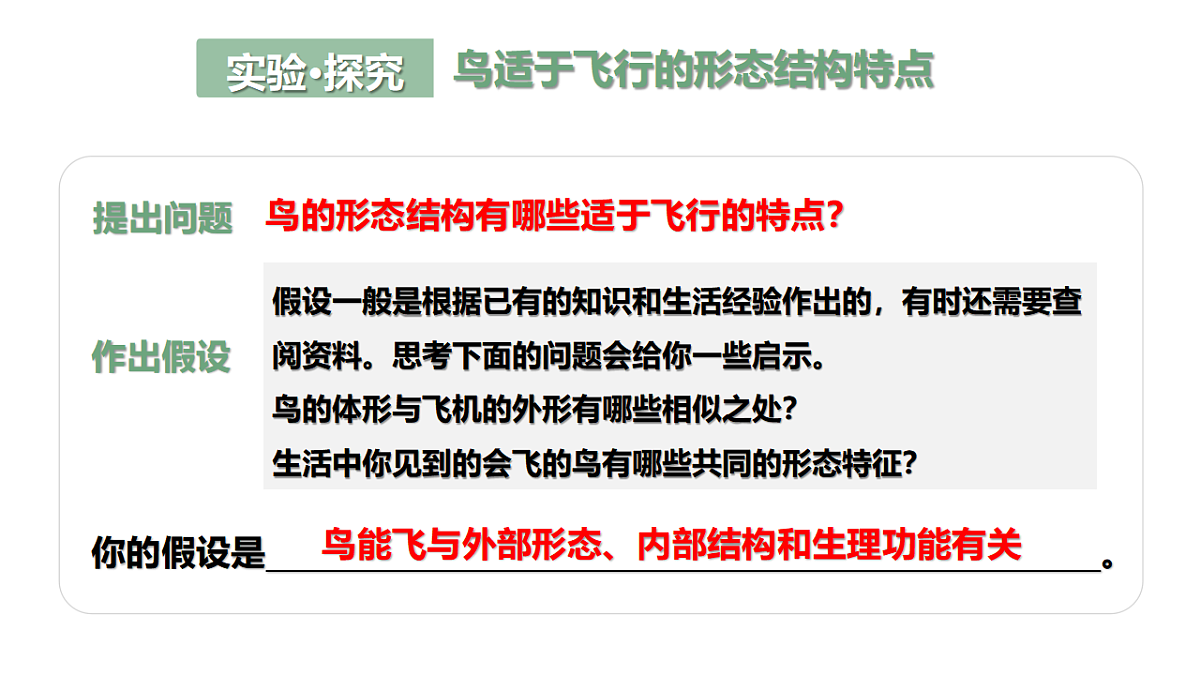 17646014第5页