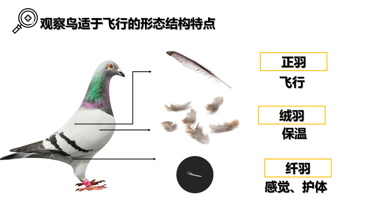 17646014第8页