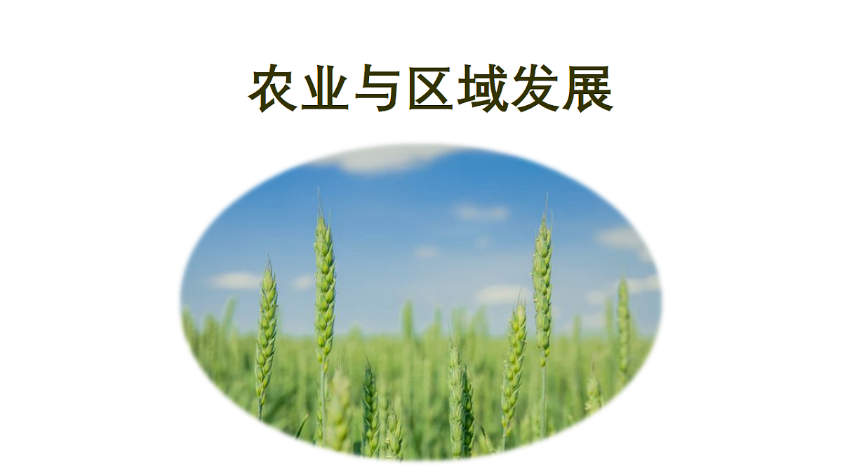 17649488第1页