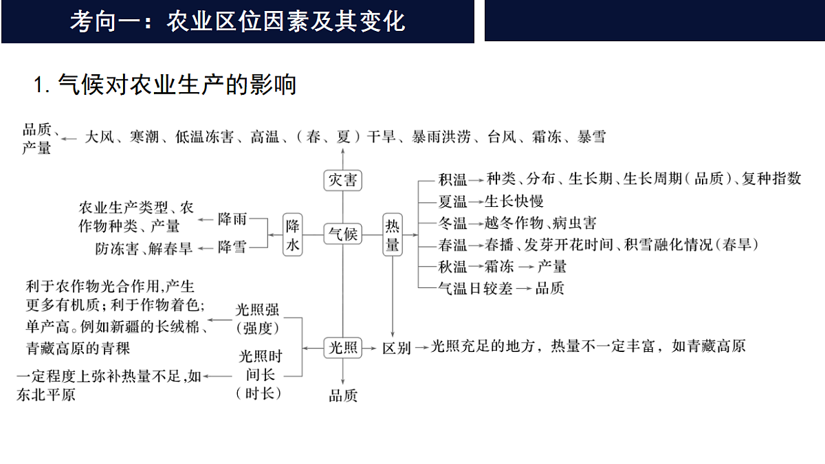 17649488第4页