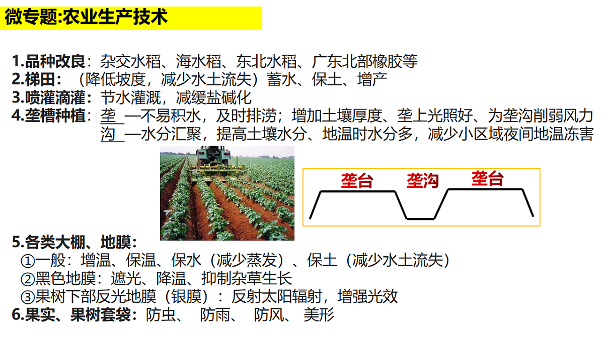 17649488第7页