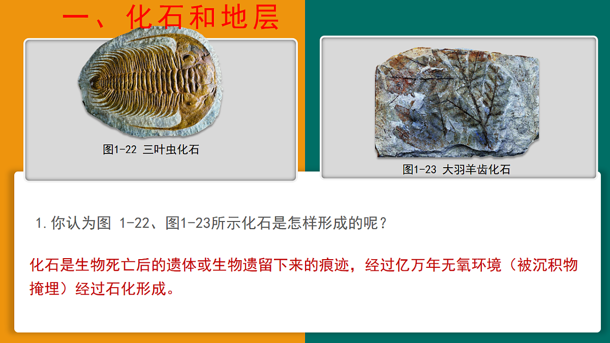 17649529第3页