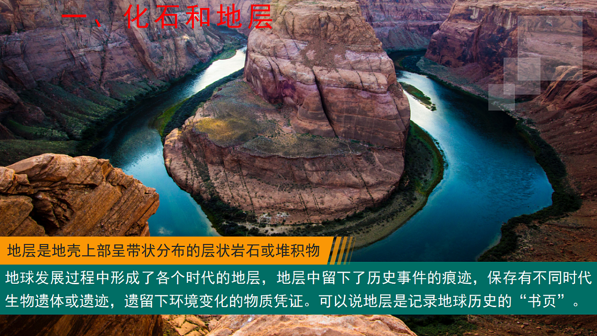 17649529第4页