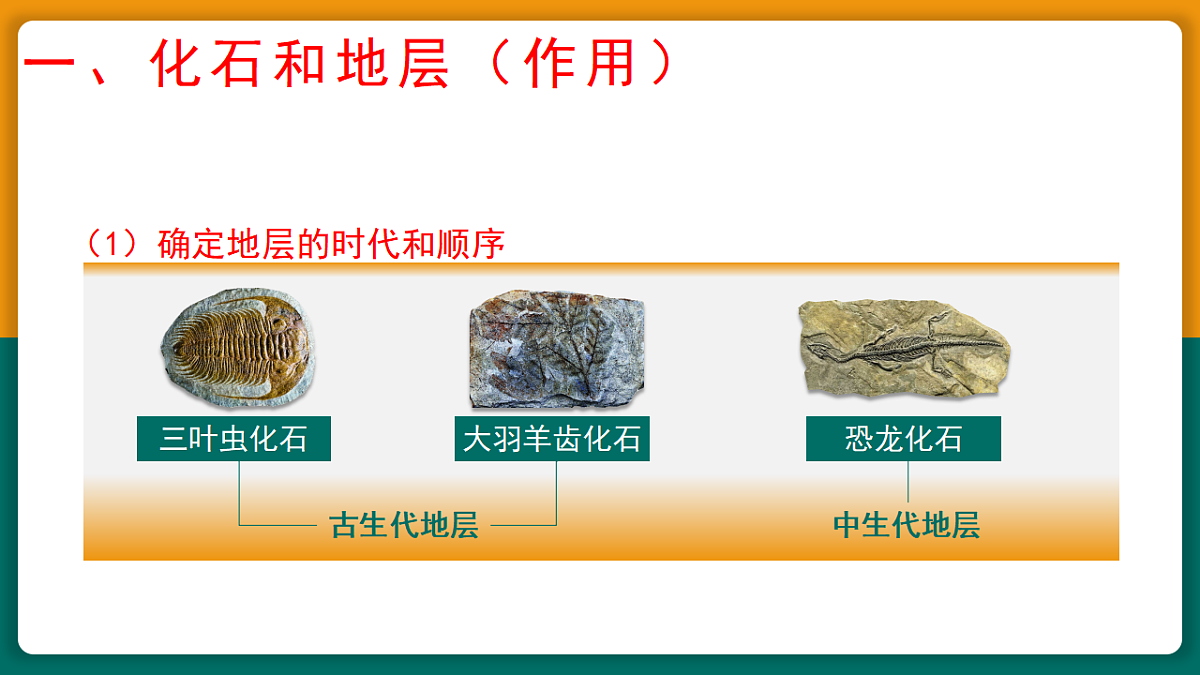 17649529第5页