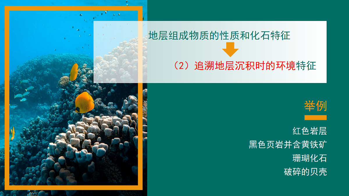 17649529第6页