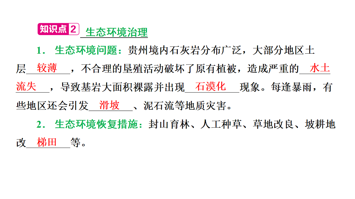 17655381第5页