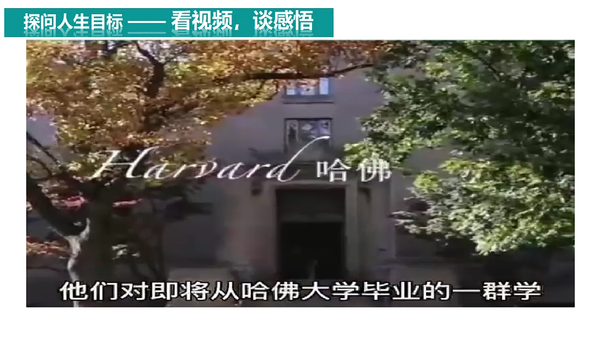 17655872第1页