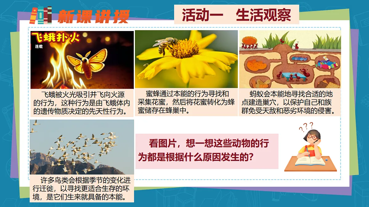 17655872第4页