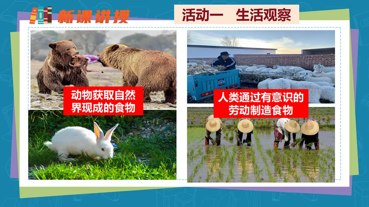 17655872第7页