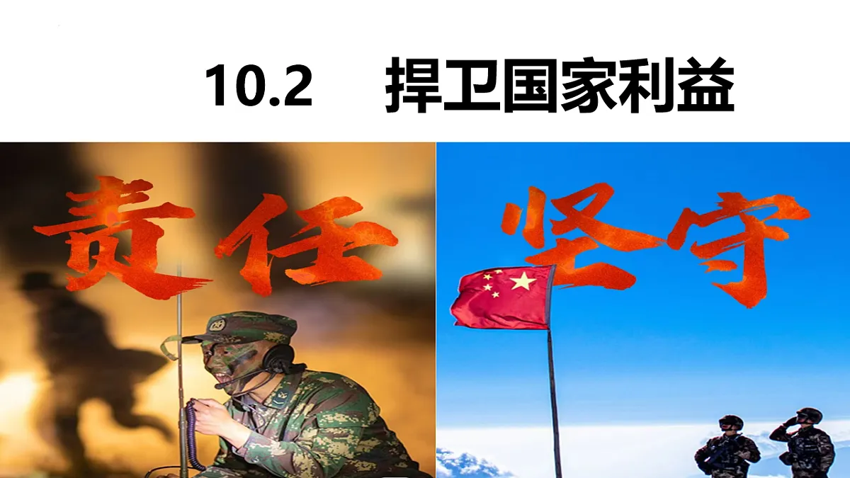 17655902第2页