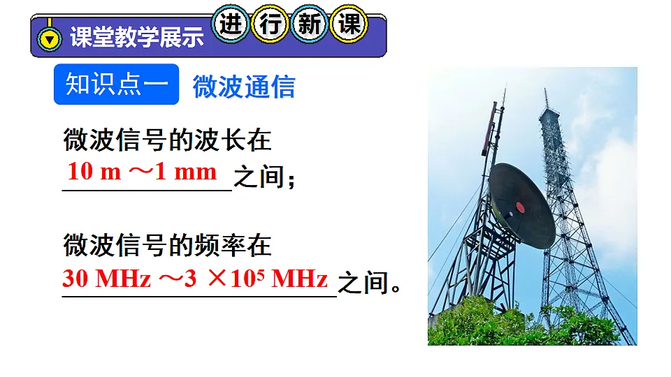 17655942第4页