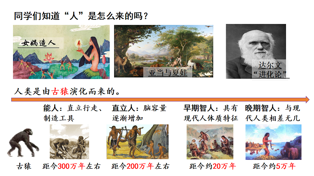 17656528第5页