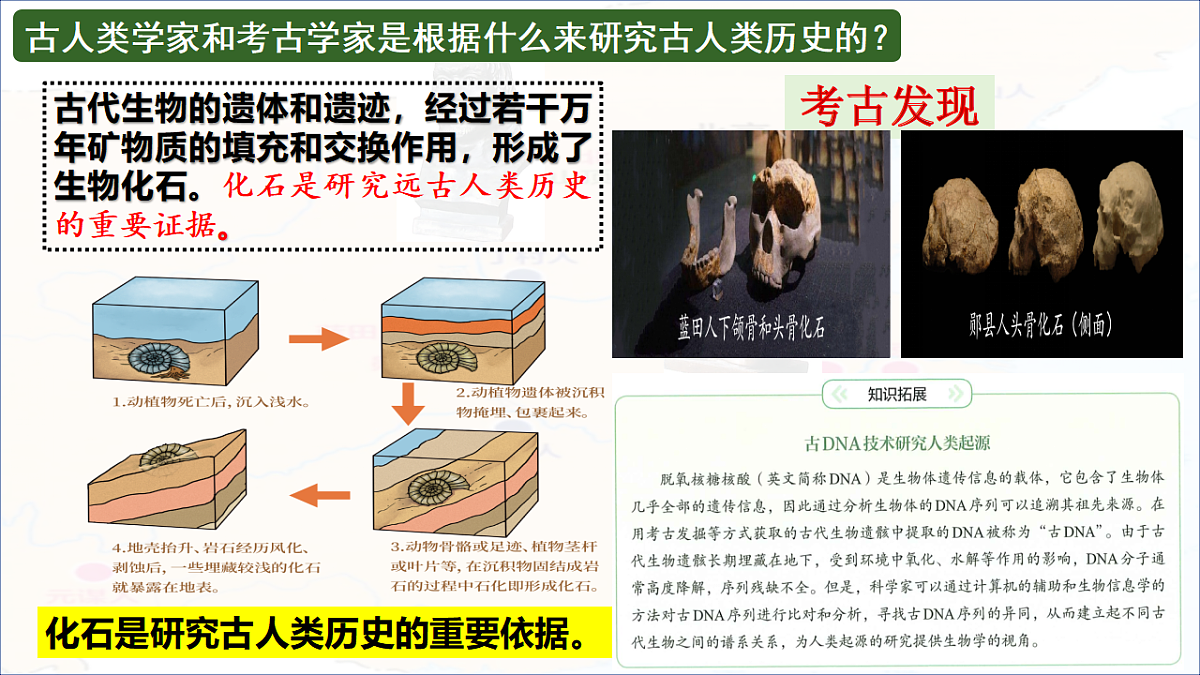 17656528第6页