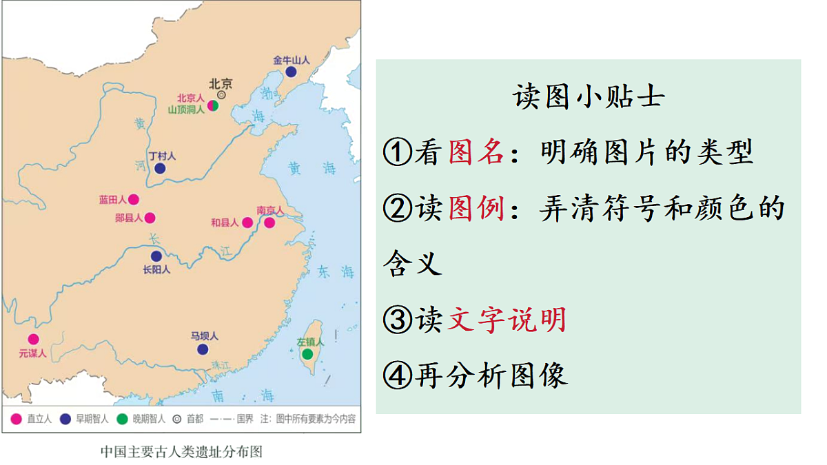 17656528第7页