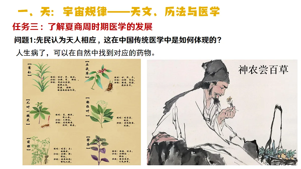 17656551第7页