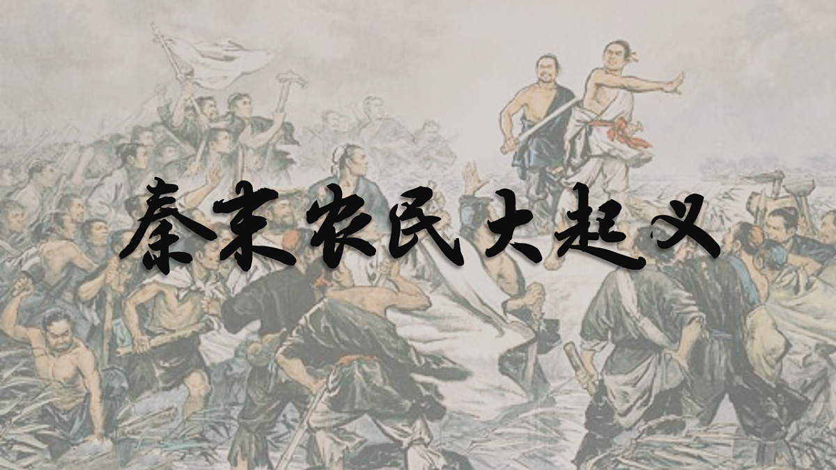 17656557第2页
