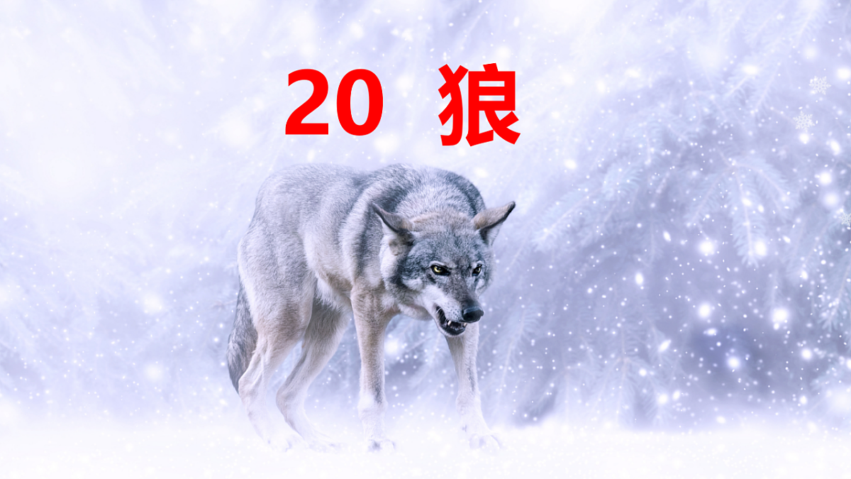 17656668第1页