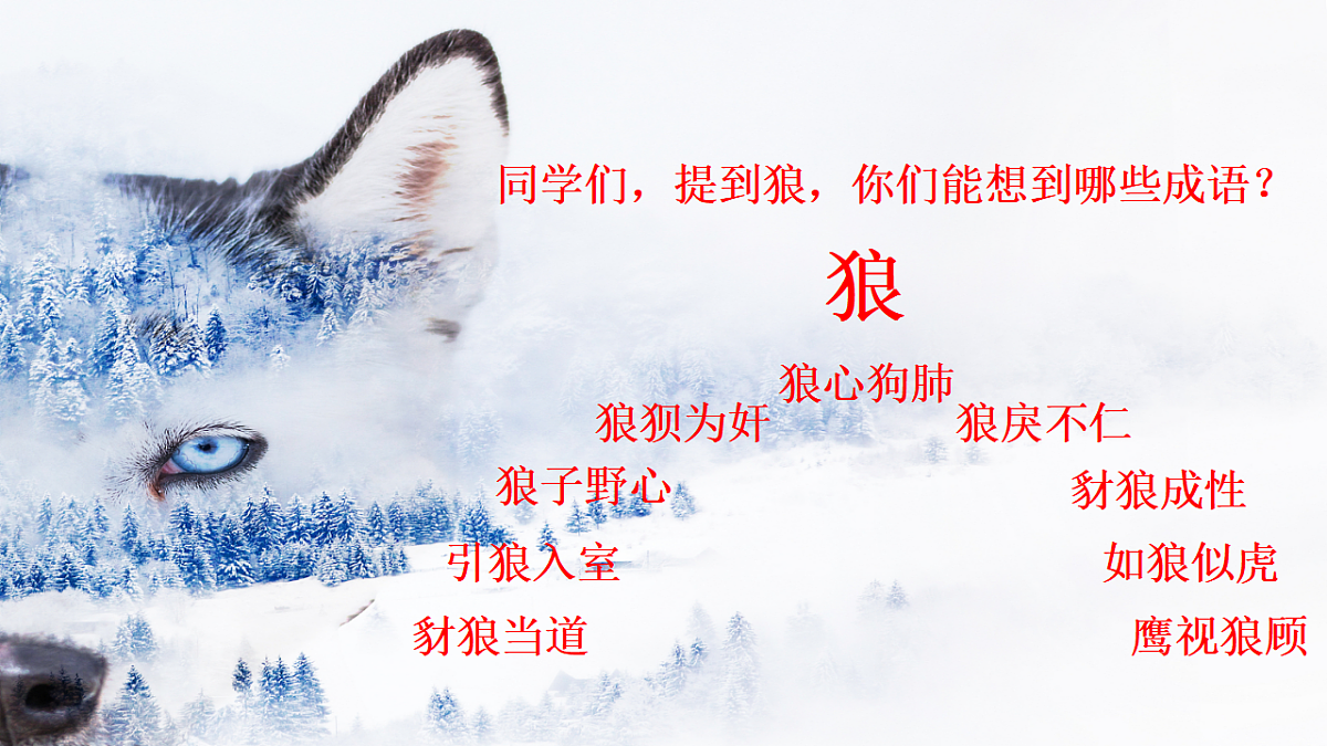 17656668第2页