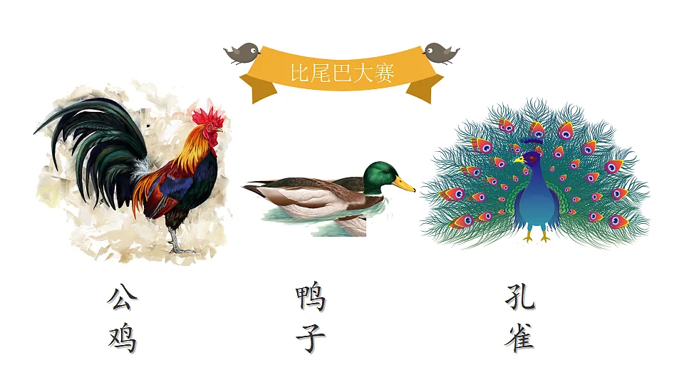 17659101第4页