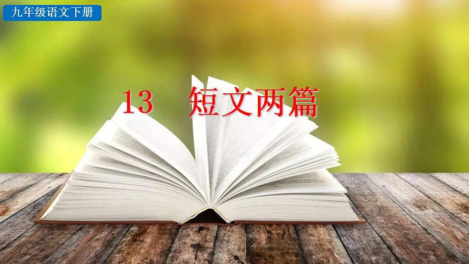 13 短文两篇第1页