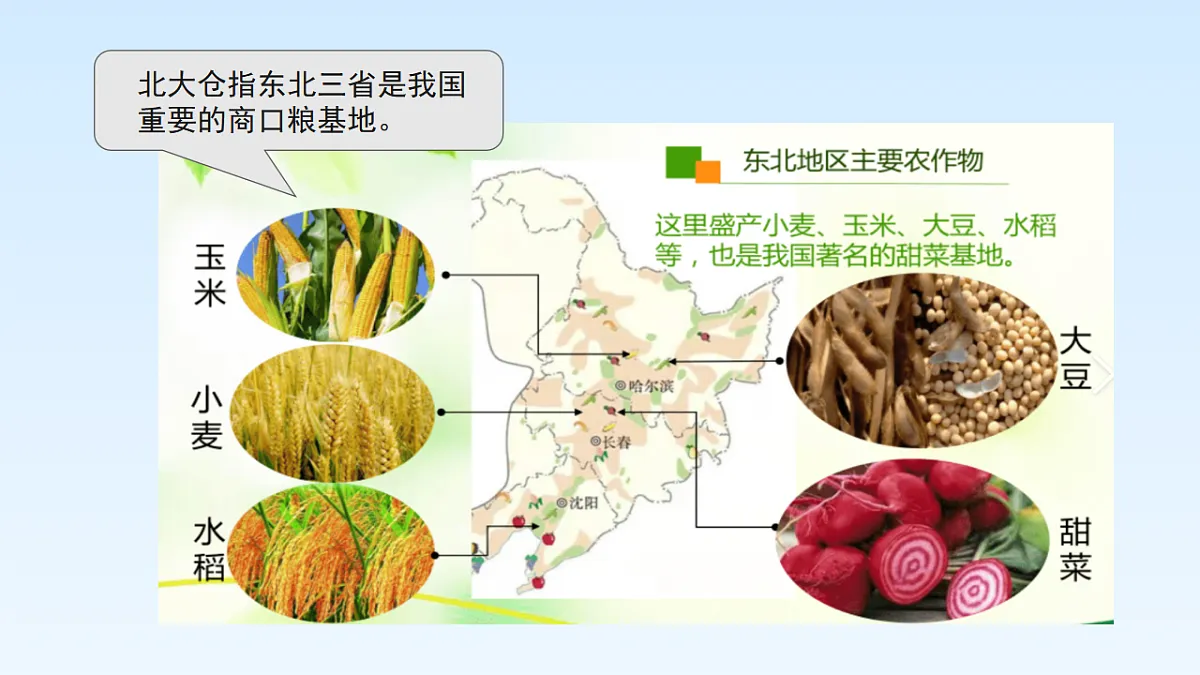 第七章 第二节 “白山黑水”—东北三省【教学课件】第1课时第8页