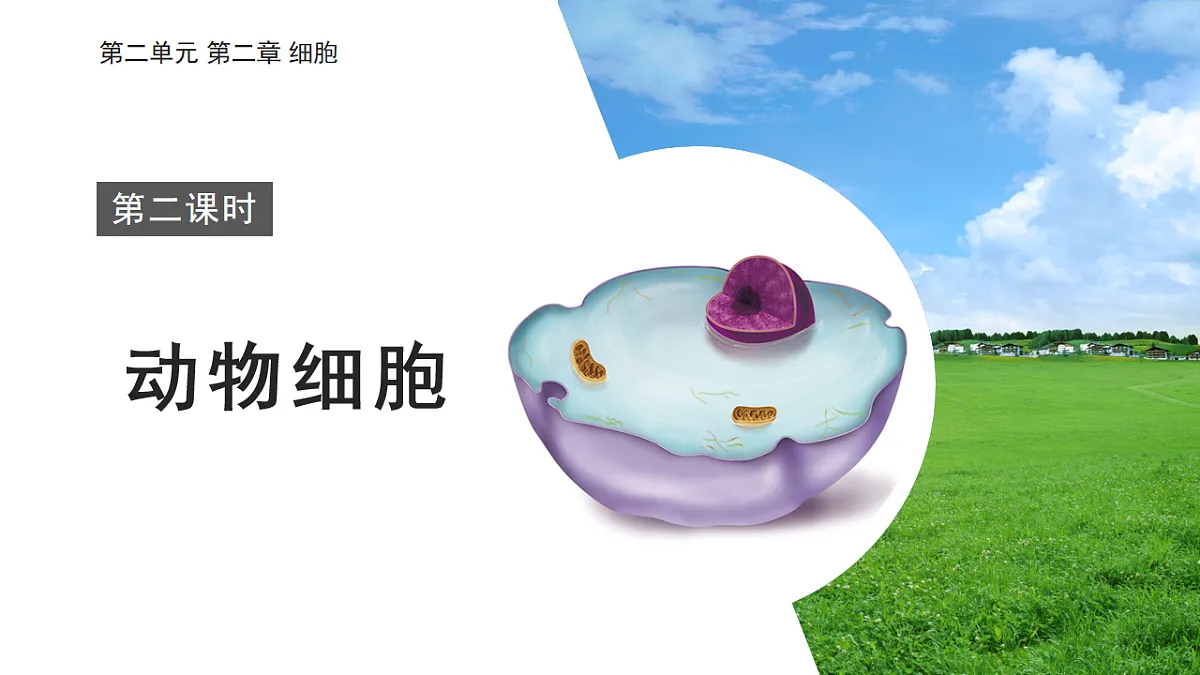 2025年秋北师大版生物七年级上册第2章 细胞 2.2.1 细胞的基本结构和功能(第2课时)课件第1页