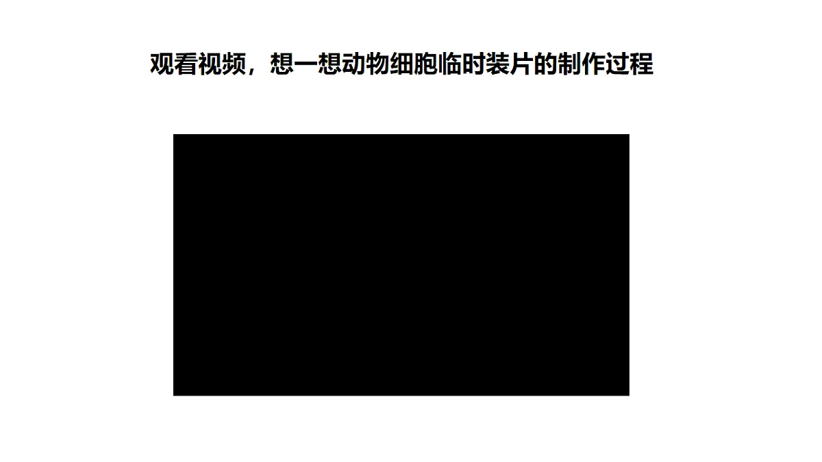 2025年秋北师大版生物七年级上册第2章 细胞 2.2.1 细胞的基本结构和功能(第2课时)课件第5页