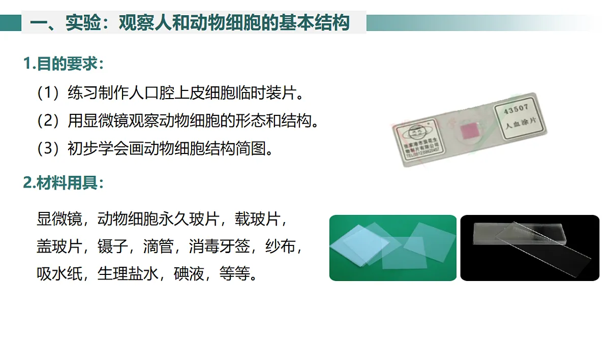 2025年秋北师大版生物七年级上册第2章 细胞 2.2.1 细胞的基本结构和功能(第2课时)课件第6页
