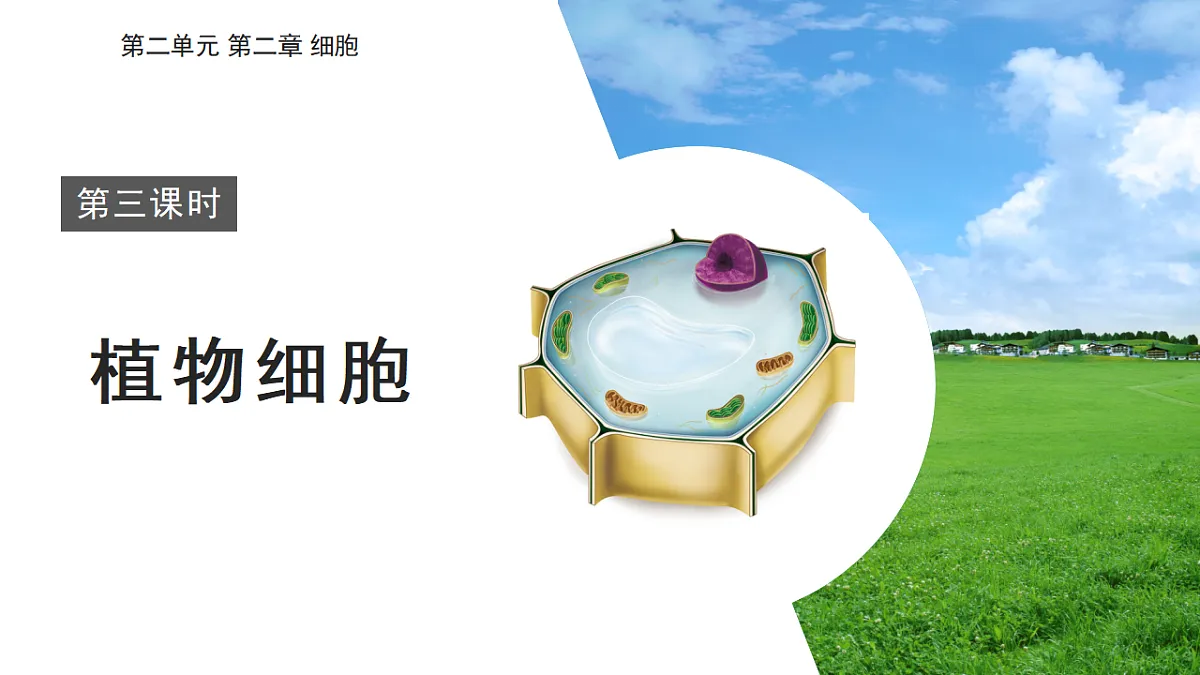 2025年秋北师大版生物七年级上册第2章 细胞 2.2.1 细胞的基本结构和功能(第3课时)课件第1页
