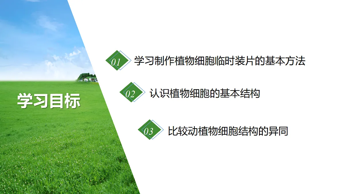 2025年秋北师大版生物七年级上册第2章 细胞 2.2.1 细胞的基本结构和功能(第3课时)课件第2页