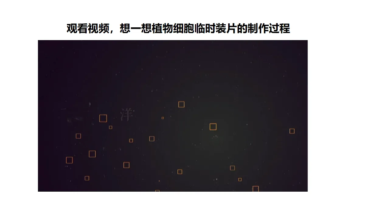 2025年秋北师大版生物七年级上册第2章 细胞 2.2.1 细胞的基本结构和功能(第3课时)课件第5页