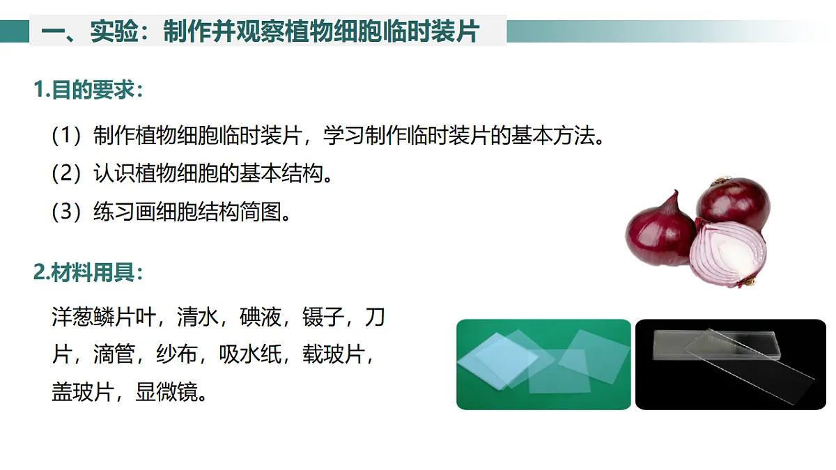 2025年秋北师大版生物七年级上册第2章 细胞 2.2.1 细胞的基本结构和功能(第3课时)课件第6页